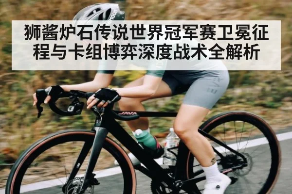 狮酱炉石传说世界冠军赛卫冕征程与卡组博弈深度战术全解析